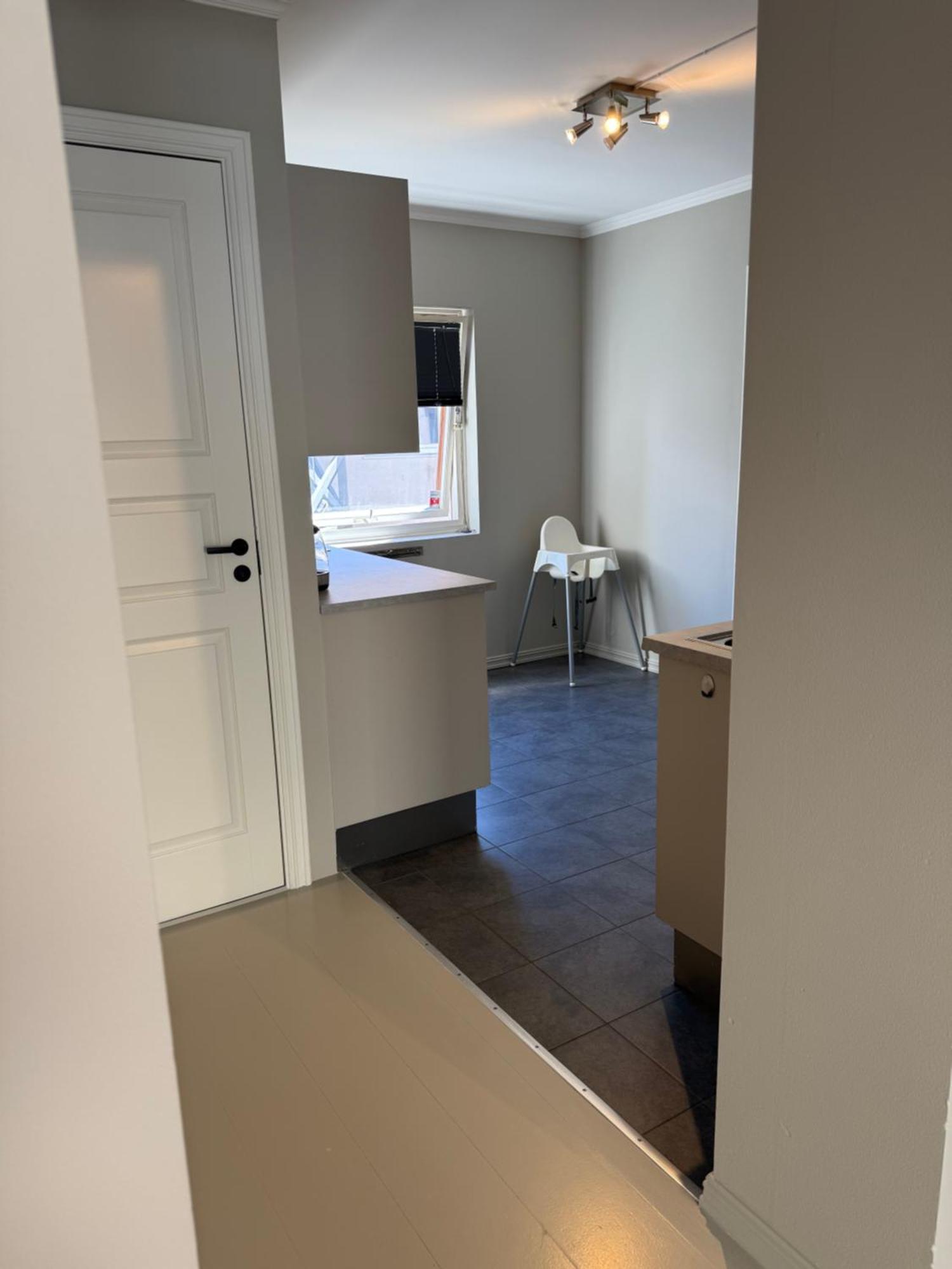 Notodden Sentrum Apartment No 2 المظهر الخارجي الصورة